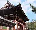 観光・貸切タクシー